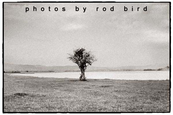 Photos by Rod Bird
