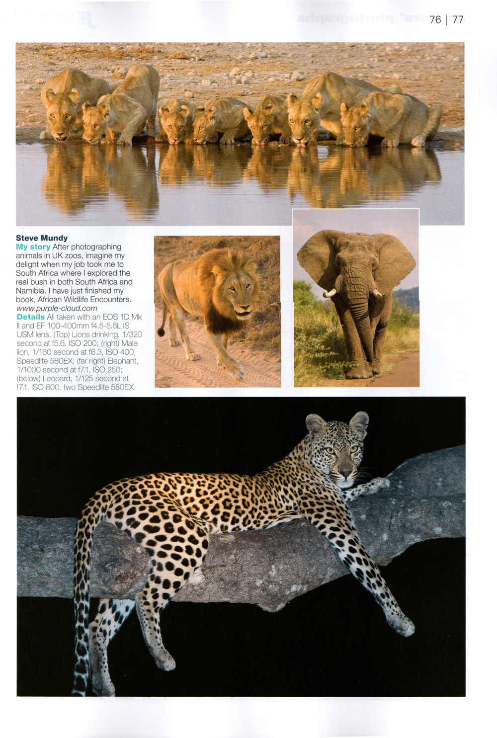 Steve Mundy portfolio in EOS Magazine