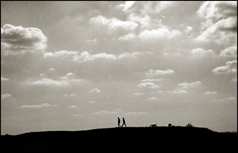 Sihouettedwalkersanddogs2.jpg