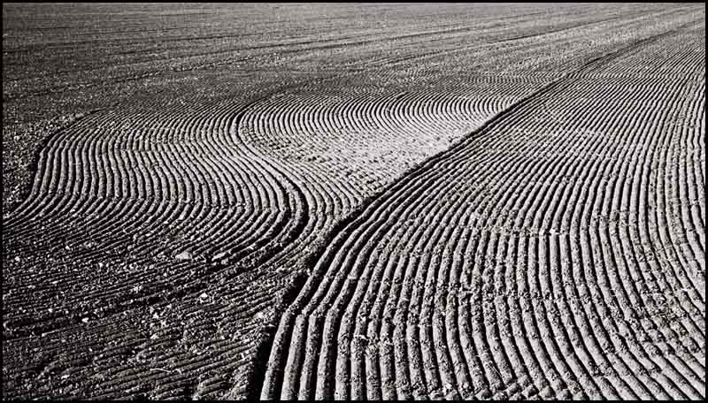 furrows1.jpg