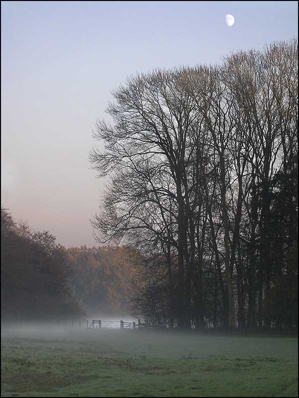 Mist.jpg
