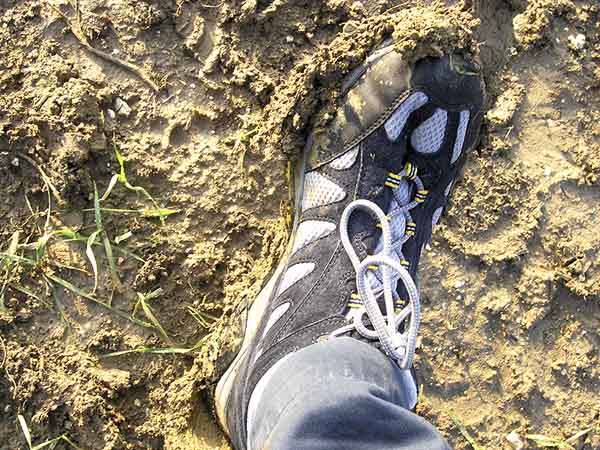 Mud.jpg