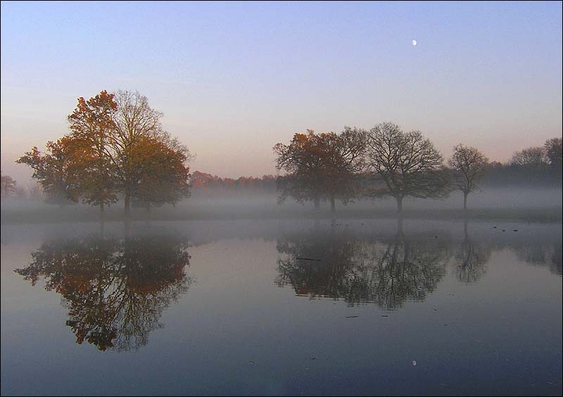 ShottesbrookLakeevening.jpg