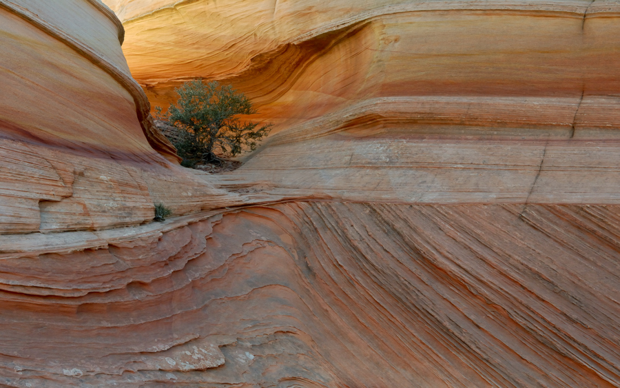 _DSC2430.jpg