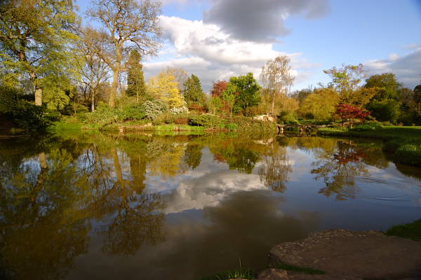 Cliveden1_1101.JPG