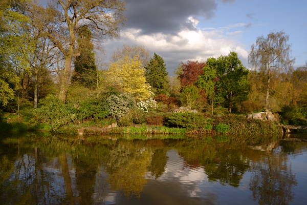 Cliveden1_1102.JPG