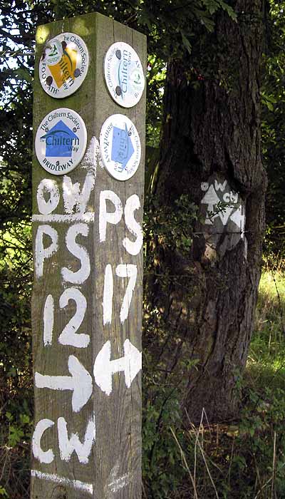 SignsMaidensgrove.jpg