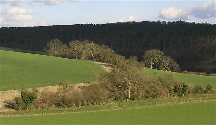 ViewoverBalhamsFarm.jpg