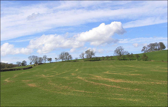 ViewtowardsTurvillePark.jpg