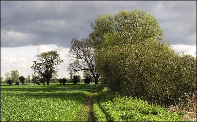 GreenWayeast.jpg