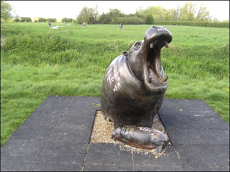 NorthTownHippo.jpg