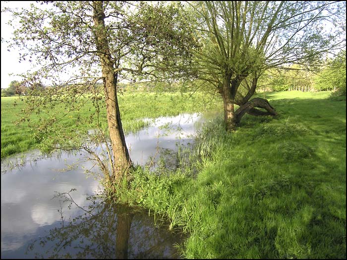 WhiteBrook.jpg