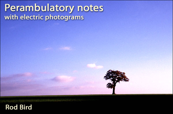 Peramubulatorynotes.jpg