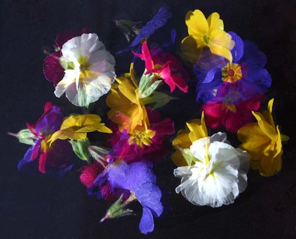 ShadesofSpring.jpg