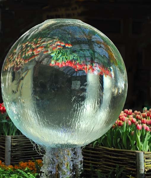 TulipsinWater.jpg