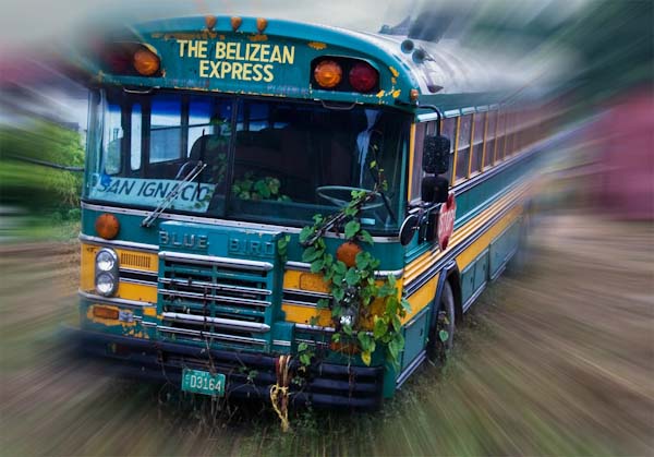 thebelizeanexpress.jpg