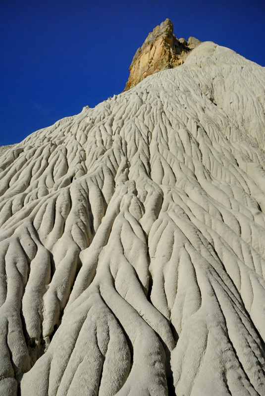 DSC_2198.jpg