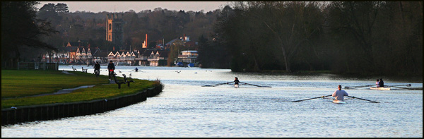 Rowers On The Water