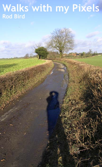 WalkswithmyPixels.jpg