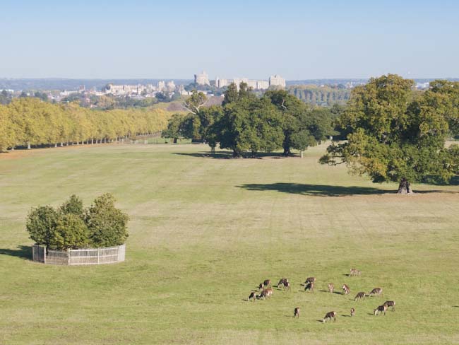 Great_Park_in_Autumn.jpg