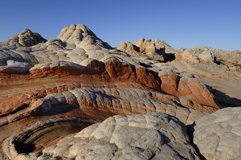 _DSC3987.jpg