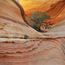 South_Coyote_Buttes_1.jpg