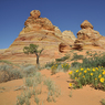 South_Coyotte_Buttes.jpg