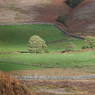 Abhainn_Mor_Catacol_Bay_Arran_-_mjr.jpg