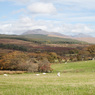 Machrie_More_Arran_-_mjr.jpg
