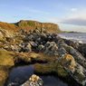 _DSC4461.jpg