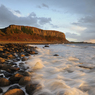 _DSC4476.jpg