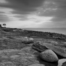 _DSC4688.jpg