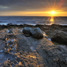 _DSC4713v2.jpg