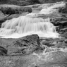 _DSC1207.jpg