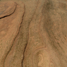 _DSC4238.jpg
