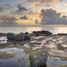 _DSC4322nx.jpg