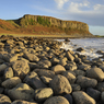 _DSC4464.jpg
