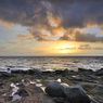 _DSC4604.jpg