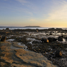 _DSC4671.jpg