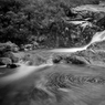 _DSC4773bwcrop.jpg