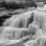 _DSC4779.jpg