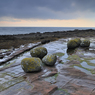 _DSC4801.jpg