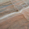 _DSC4837.jpg