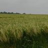img_6153.jpg