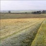 TracktoHillFarm.jpg
