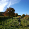 How_to_use_your_tripod_600.jpg