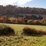 Looking_south_towards_Shirburn_Hill_-_mjr.jpg