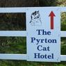 Pyrton_Cat_Hotel.jpg