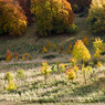 Valley_near_Shirburn_Hill.jpg