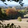 View_towards_Shirburn.jpg